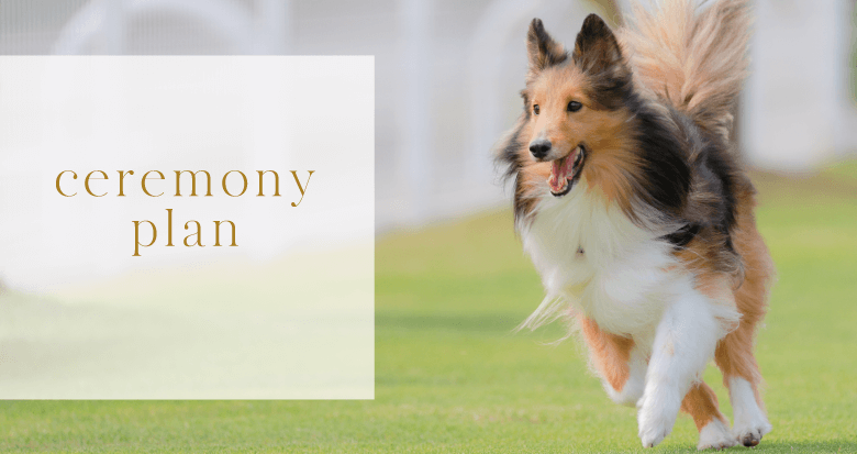 火葬プラン・料金